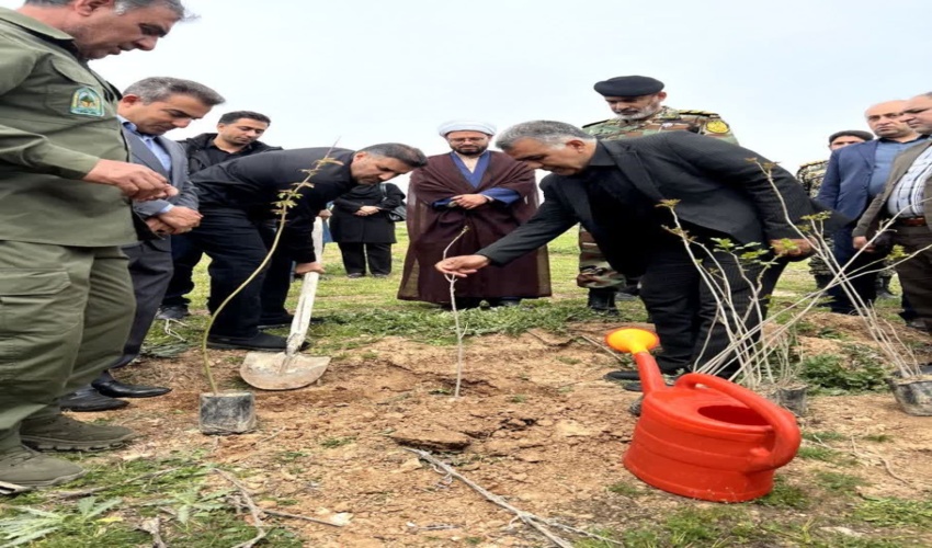«سرو ایران» به یاد قهرمانان، کاشت ۳۰۰ نهال در اسلام‌آباد غرب