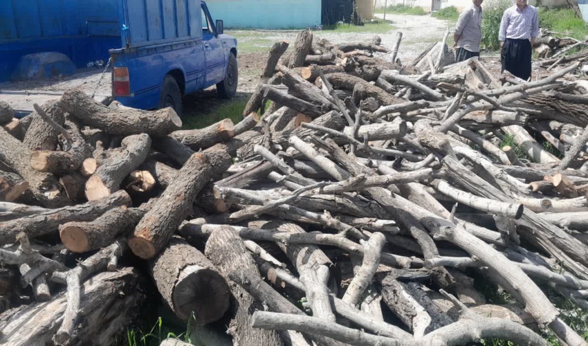 کشف ۳۸۰۰ کیلو چوب قاچاق بلوط در یک کارگاه چوب‌بری در دیزل‌آباد