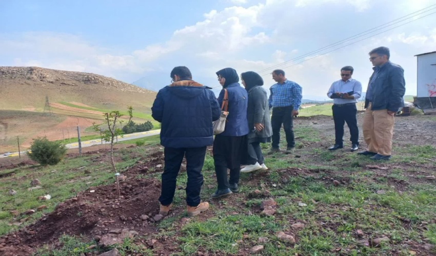 بازدید کارشناسان کمیته علمی از جنگل‌کاری مشارکتی شهرستان هرسین