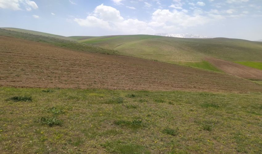 بررسی تخریب و تصرف اراضی ملی در روستای زیوه شهرستان سنقر