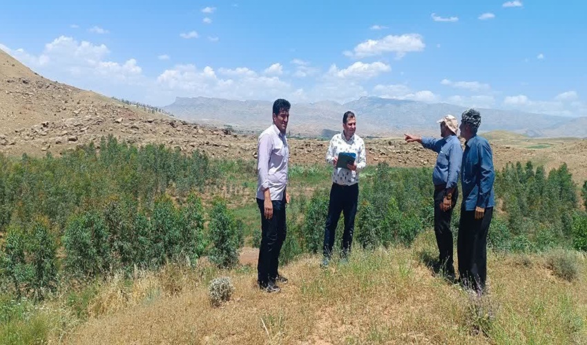 بازدید کارشناسان اداره ارزیابی و عملکرد بازرسی از اداره منابع طبیعی و آبخیزداری شهرستان سرپل زهاب
