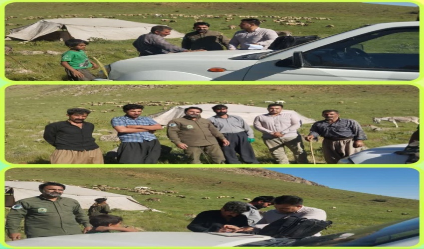 رسیدگی به اختلاف دامداران سفید خانی و رشید آباد شهرستان صحنه