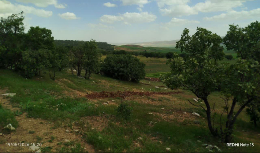 عملیات ایجاد آتش‌بر در روستای ده‌کریشه اسلام آباد غرب
