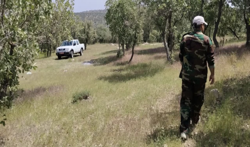 جنگل‌گردشی و پایش مناطق بحرانی در شهرستان اسلام آبادغرب