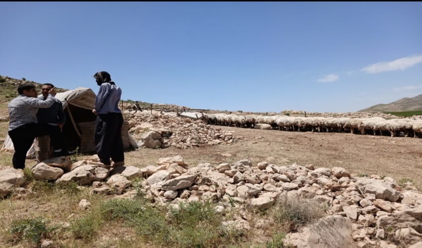 مدیریت چرا در روستای مله امیرخان اسلام آبادغرب در راستای جلوگیری از تخریب مراتع