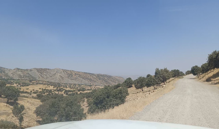 کشیک شبانه‌روزی منابع طبیعی ثلاث باباجانی برابر آتش سوزی احتمالی