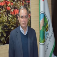 بهزاد رستمی